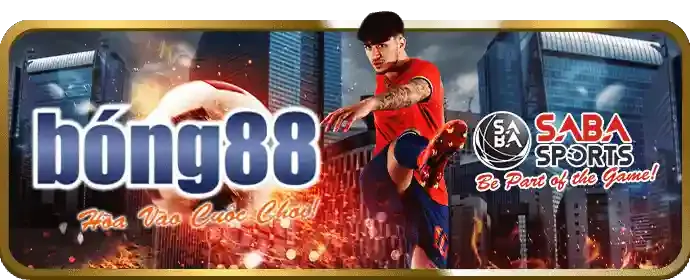 Cho phép nguồn không xác định vibet88